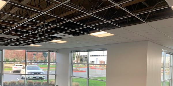 Preparing grid for new acoustical ceiling tiles in office